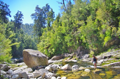 Abel Tasman Sea Shuttles Kaiteriteri