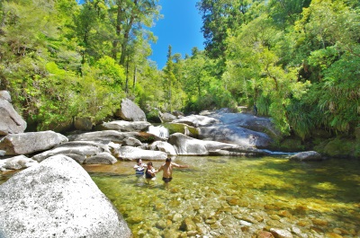 Abel Tasman Sea Shuttles Kaiteriteri