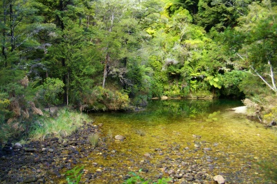 Abel Tasman Sea Shuttles Kaiteriteri